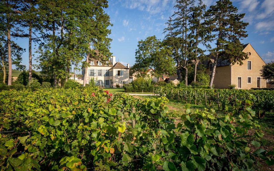 这座沃恩罗曼尼村的明星庄园，与罗曼尼康帝特级园仅隔2米